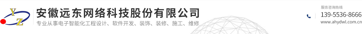 安徽远东网络科技股份有限公司